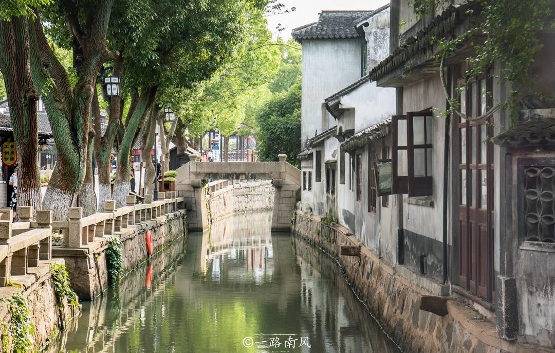农业如何“逐绿”“向未来”成山东省两会热门议题
